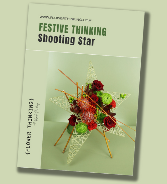 Festive Thinking - Shooting Star