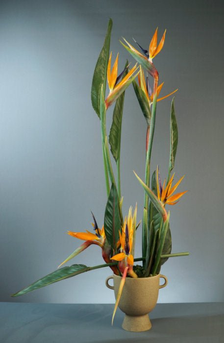 One Container Five Elements - August 2023 Online Course - { Flower Thinking }