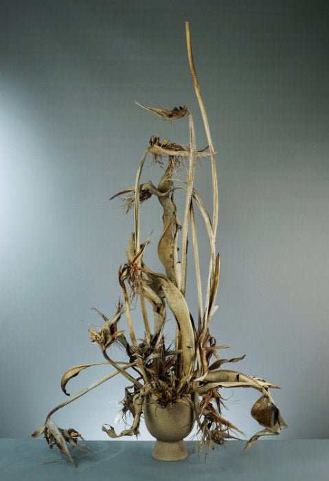 One Container Five Elements - August 2023 Online Course - { Flower Thinking }