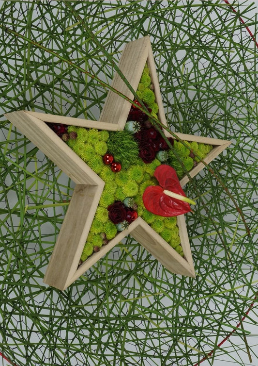 Festive Thinking - Shooting Star