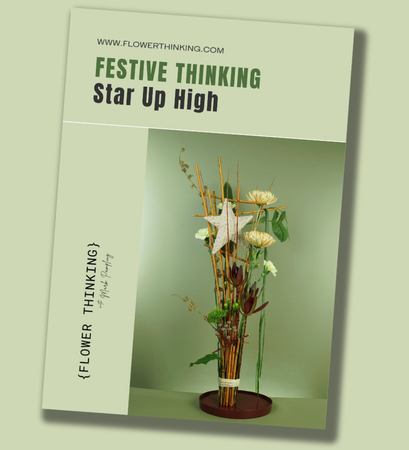 Festive Thinking - Star Up High