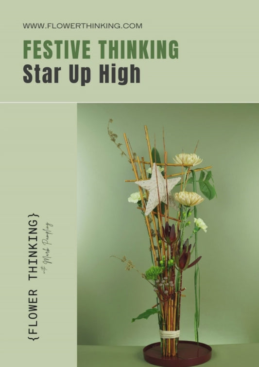 Festive Thinking - Star Up High